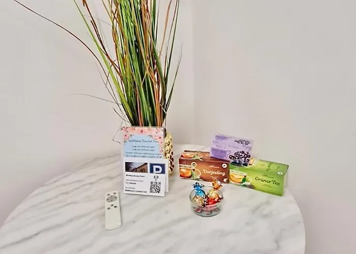 With Free Parking Ljubljana